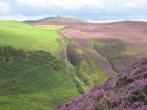 Clwydian Range from Moel Arthur